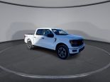 New 2025 Ford F-150 STX 4x4 SuperCrew 5.5' Box