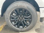 New 2025 Ford F-150 XLT 4x4 SuperCrew 5.5' Box