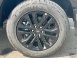 New 2025 Ford F-150 XLT 4x4 SuperCrew 6.5' Box