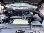 New 2025 Ford F-150 XLT 4x4 SuperCrew 6.5' Box