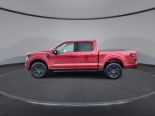 New 2025 Ford F-150 XLT 4x4 SuperCrew 5.5' Box