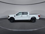 New 2025 Ford F-150 STX 4x4 SuperCrew 5.5' Box