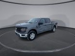 New 2025 Ford F-150 XL 4x4 SuperCrew 5.5' Box