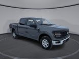 New 2025 Ford F-150 XL 4x4 SuperCrew 5.5' Box