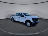 New 2025 Ford F-150 XL 4x4 SuperCrew 5.5' Box