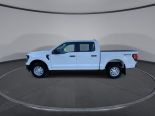 New 2025 Ford F-150 XL 4x4 SuperCrew 5.5' Box