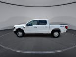 New 2025 Ford F-150 XL 4x4 SuperCrew 5.5' Box