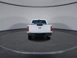 New 2025 Ford F-150 XL 4x4 SuperCrew 5.5' Box