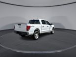 New 2025 Ford F-150 XL 4x4 SuperCrew 5.5' Box