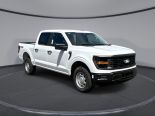 New 2025 Ford F-150 XL 4x4 SuperCrew 5.5' Box
