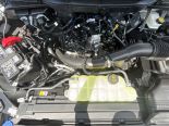 New 2025 Ford F-150 XL 4x4 SuperCrew 5.5' Box