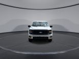 New 2025 Ford F-150 XL 4x4 Reg Cab 8' Box