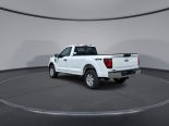 New 2025 Ford F-150 XL 4x4 Reg Cab 8' Box