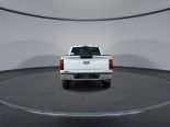 New 2025 Ford F-150 XL 4x4 Reg Cab 8' Box
