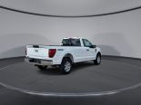 New 2025 Ford F-150 XL 4x4 Reg Cab 8' Box