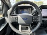 New 2025 Ford F-150 XL 4x4 Reg Cab 8' Box