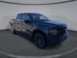 New 2025 Ford F-150 XLT 4x4 SuperCrew 5.5' Box