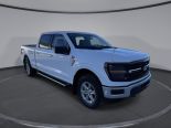 New 2025 Ford F-150 XLT 4x4 SuperCrew 6.5' Box