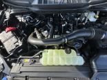 New 2025 Ford F-150 XLT 4x4 SuperCrew 6.5' Box