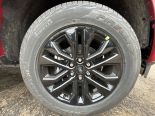 New 2025 Ford F-150 XLT 4x4 SuperCrew 5.5' Box