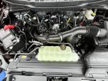 New 2025 Ford F-150 XLT 4x4 SuperCrew 5.5' Box
