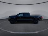 New 2025 Ford F-150 XLT 4x4 SuperCrew 6.5' Box