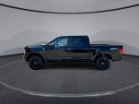New 2025 Ford F-150 STX 4x4 SuperCrew 5.5' Box
