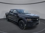 New 2025 Ford F-150 XLT 4x4 SuperCrew 5.5' Box