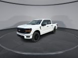 New 2025 Ford F-150 STX 4x4 SuperCrew 5.5' Box