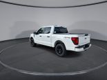 New 2025 Ford F-150 STX 4x4 SuperCrew 5.5' Box