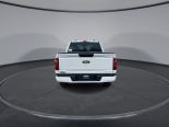 New 2025 Ford F-150 STX 4x4 SuperCrew 5.5' Box
