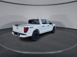 New 2025 Ford F-150 STX 4x4 SuperCrew 5.5' Box