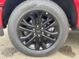 New 2025 Ford F-150 XLT 4x4 SuperCrew 6.5' Box