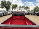 New 2025 Ford F-150 XLT 4x4 SuperCrew 6.5' Box