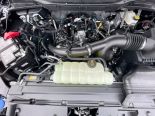 New 2025 Ford F-150 STX 4x4 SuperCrew 5.5' Box