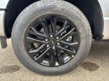 New 2025 Ford F-150 XLT 4x4 SuperCrew 5.5' Box