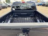 New 2025 Ford F-150 XLT 4x4 SuperCrew 5.5' Box