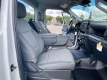New 2025 Ford F-150 XL 4x4 Reg Cab 8' Box