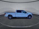 New 2025 Ford F-150 XLT 4x4 SuperCrew 6.5' Box