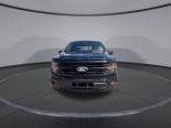 New 2025 Ford F-150 XLT 4x4 SuperCrew 5.5' Box