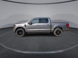 New 2025 Ford F-150 XLT 4x4 SuperCrew 5.5' Box