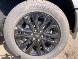 New 2025 Ford F-150 XLT 4x4 SuperCrew 5.5' Box
