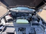 New 2025 Ford F-150 XLT 4x4 SuperCrew 5.5' Box