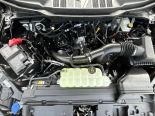 New 2025 Ford F-150 XLT 4x4 SuperCrew 5.5' Box