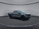 New 2025 Ford F-150 STX 4x4 SuperCrew 5.5' Box