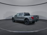 New 2025 Ford F-150 STX 4x4 SuperCrew 5.5' Box