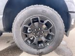 New 2025 Ford F-150 STX 4x4 SuperCrew 5.5' Box