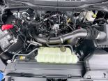 New 2025 Ford F-150 STX 4x4 SuperCrew 5.5' Box
