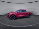 New 2025 Ford F-150 XLT 4x4 SuperCrew 5.5' Box