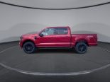 New 2025 Ford F-150 XLT 4x4 SuperCrew 5.5' Box
